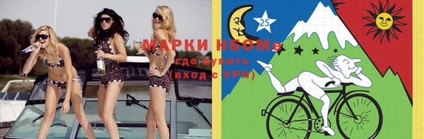 шишки Беломорск