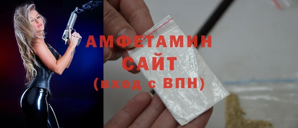 шишки Беломорск