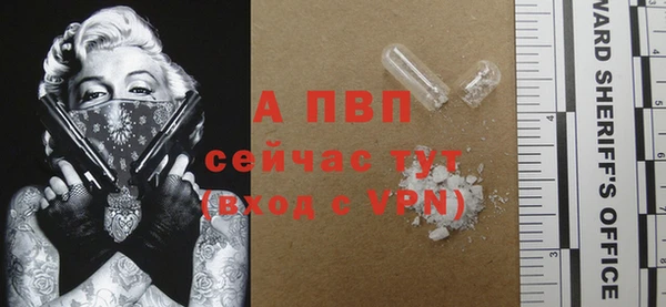 шишки Беломорск