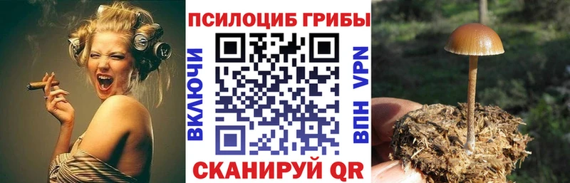 Псилоцибиновые грибы Cubensis  OMG онион  Трёхгорный 